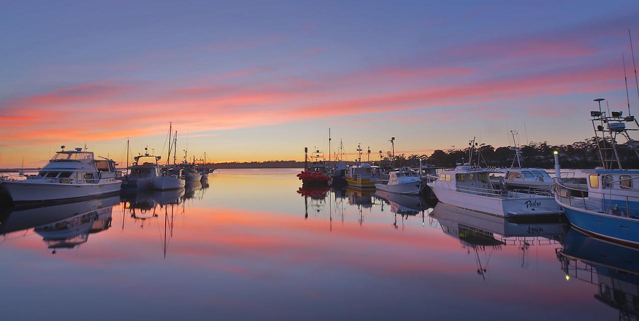 Georges Bay Apartments St Helens Eksteriør billede